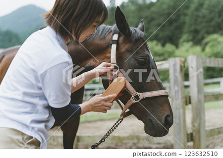 馬 馬兒 騎馬 123632510