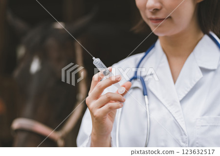 horse, injecting, injection 123632517