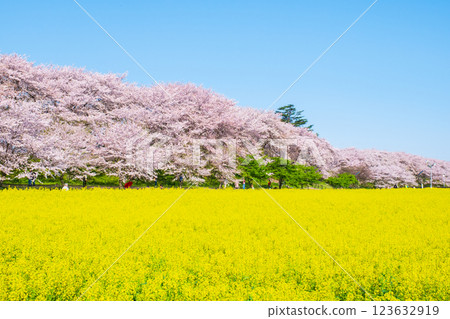 Gyodo神社 123632919