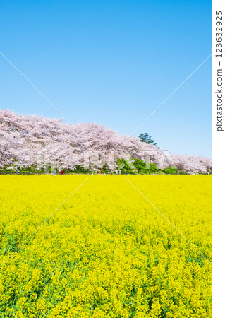 Gyodo神社 123632925