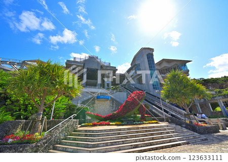 Okinawa Prefecture: Ocean Expo Park (Okinawa Memorial National Government Park) Churaumi Aquarium Okinawa Prefecture: Ocean Expo Park (Okinawa Memorial National Government Park) Churaumi Aquarium 123633111