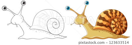 Cute Snail Vector Illustration and Outline Drawing Cute Snail Vector Illustration and Outline Drawing 123633514