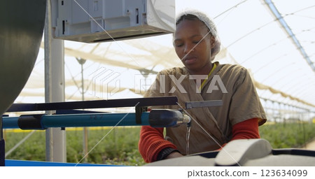 Low angle side view of ethnic female worker turning on faucet and cleaning hands in blueberry farm 123634099