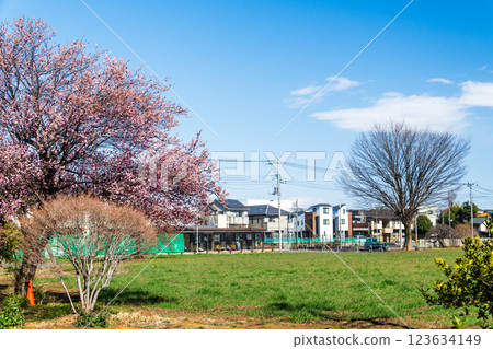 Idle land in early spring 123634149