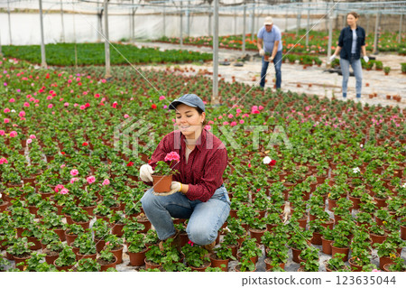 Young woman holding flower pot with peralgonium Young woman holding flower pot with peralgonium 123635044