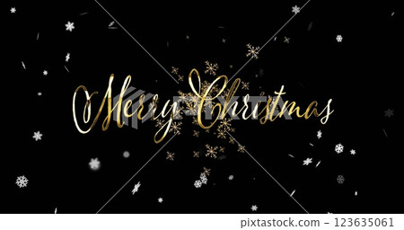 Image of merry christmas text over snowflakes on black background 123635061