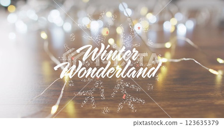 Image of christmas winter wonderland text over christmas fairy lights Image of christmas winter wonderland text over christmas fairy lights 123635379