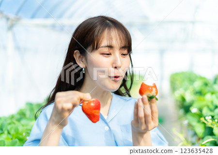 A woman picking strawberries A woman picking strawberries A woman picking strawberries A woman picking strawberries 123635428