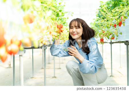 一個女人在摘草莓 一個女人在摘草莓 123635438