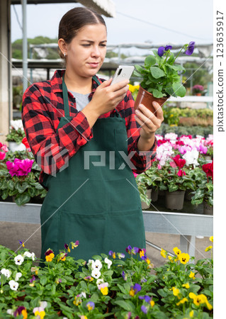 Concerned female gardener in uniform taking photo of flower name on phone in greenhouse Concerned female gardener in uniform taking photo of flower name on phone in greenhouse 123635917