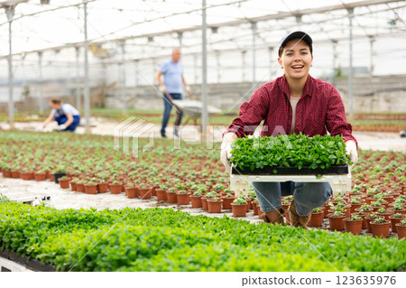 Young woman worker sitting down holding planted mint in greenhouse Young woman worker sitting down holding planted mint in greenhouse 123635976