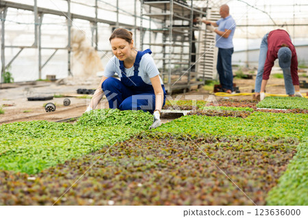 Adult woman posing with planted basil 123636000
