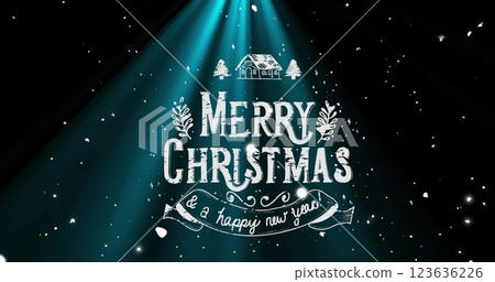Image of christmas greetings text over snow falling Image of christmas greetings text over snow falling 123636226