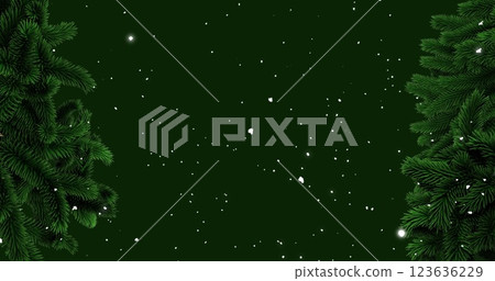 Pine branches frame the top corners of a dark green background with snowflakes Pine branches frame the top corners of a dark green background with snowflakes 123636229