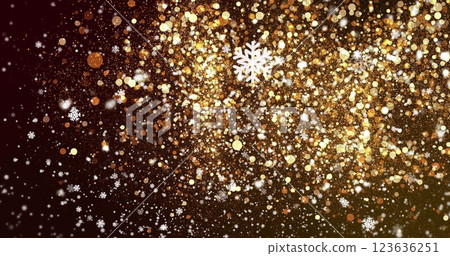 Image of snowflakes and confetti moving on black background 123636251