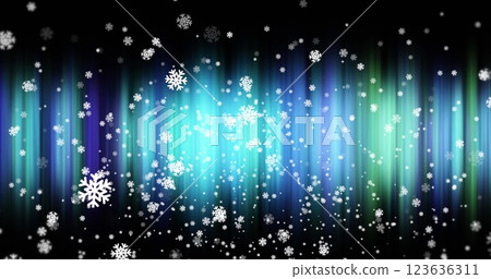 Image of northers lights and snow falling on black background 123636311