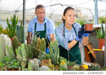 Middle-aged woman and man wearing uniform checking potted cacti in conservatory 123636387