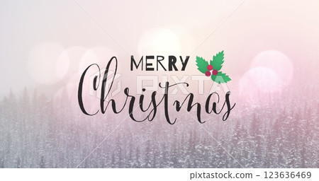 Merry christmas text banner and mistletoe icon against spots of light and winter landscape 123636469