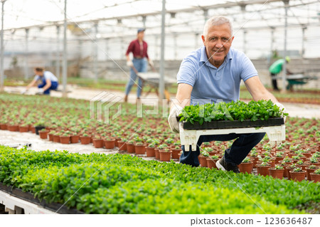 Adult man posing with planted peppermint Adult man posing with planted peppermint 123636487