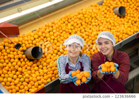 High angle view of female workers showing selected tangerines High angle view of female workers showing selected tangerines 123636666