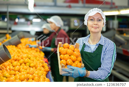 Glad positive female employee in colored uniforms hold a box of fresh ripe tangerines in their hands on citrus sorting line at warehouse. Glad positive female employee in colored uniforms hold a box of fresh ripe tangerines in their hands on citrus sorting line at warehouse. 123636707
