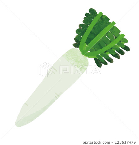 蘿蔔的簡單手繪彩色插圖 123637479