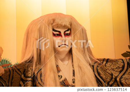 Kabuki Doll Kabuki Doll 123637514