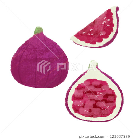 各種無花果手繪彩色插圖集 各種無花果手繪彩色插圖集 123637589