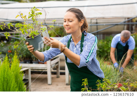 Owner of the flower farm photographs flowers on mobile phone for posting on an Internet resource 123637610