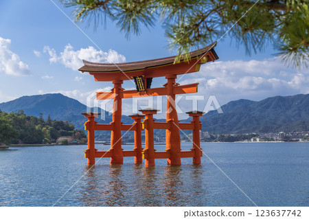 [Miyajima, Hiroshima: Large Torii Gate and Pine Trees] 123637742