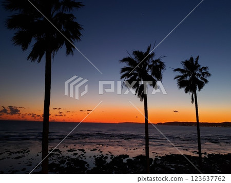 Sea, palm trees and twilight Sea, palm trees and twilight 123637762