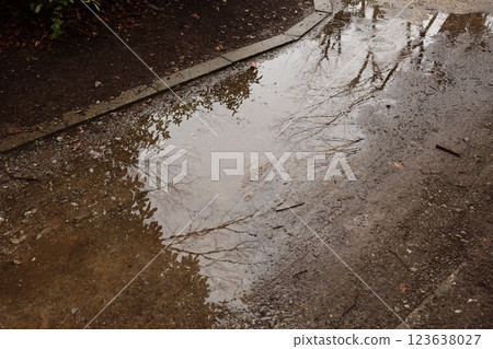 雨水落入公園裡的水坑 123638027