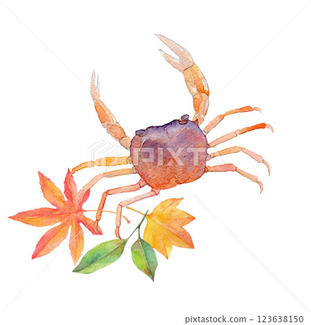 水彩插圖：小龍蝦和秋葉 123638150