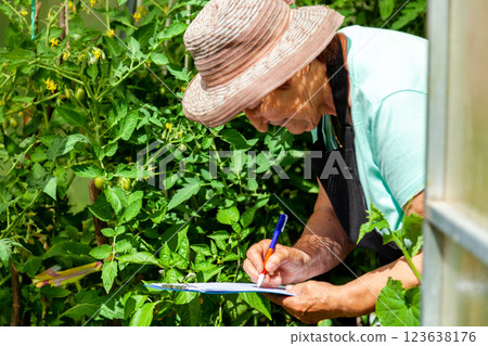 Elderly Female Farmer Observing Plants and Taking Notes Elderly Female Farmer Observing Plants and Taking Notes 123638176