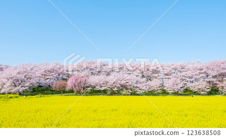 Gyodo Shrine Gyodo Shrine 123638508