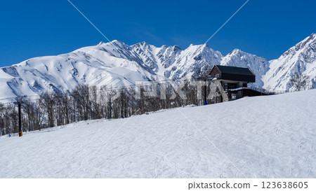 長野縣白馬村北阿爾卑斯山的藍天白雪 123638605