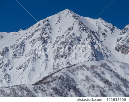 長野縣白馬村北阿爾卑斯山的藍天白雪 123638606