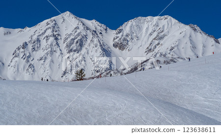 View of the Northern Alps from Hakuba Iwatake Snow Field, Hakuba Village, Nagano Prefecture 123638611
