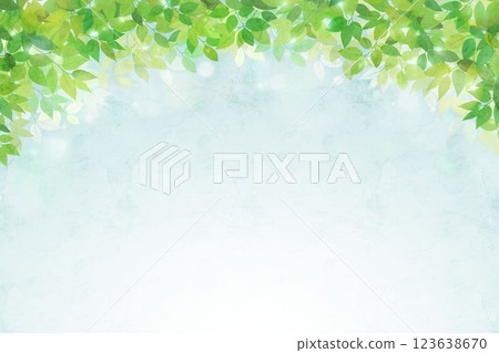 Fresh green leaves watercolor illustration background Fresh green leaves watercolor illustration background 123638670