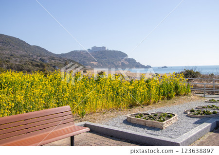 伊良湖岬油菜花 123638897