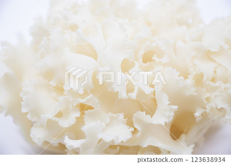 繡球菌 繡球菌 123638934