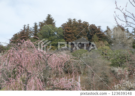 Kairakuen Garden, plum grove and Kobuntei 123639148