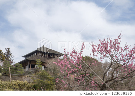 Kairakuen Garden, plum grove and Kobuntei 123639150