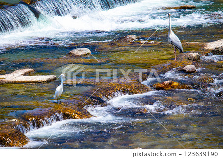 [Kyoto scenery] Kamogawa Nouryou-Yuka and Plover Lanterns in Pontocho 123639190