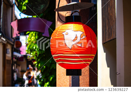 [京都風景] 先鬥町的鴨川豊燈和珙鳥燈 123639227