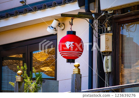 [Kyoto scenery] Kamogawa Nouryou-Yuka and Plover Lanterns in Pontocho 123639276