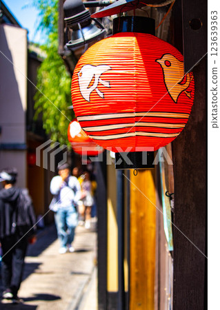 [Kyoto scenery] Kamogawa Nouryou-Yuka and Plover Lanterns in Pontocho 123639363