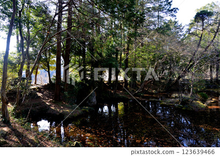 Itajikiyama Daikakuji Temple #27 Itajikiyama Daikakuji Temple #27 123639466