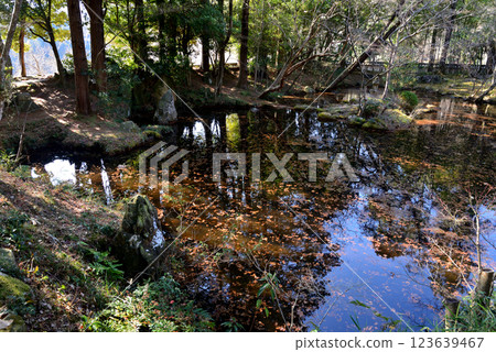 Itajikiyama Daikakuji Temple #28 Itajikiyama Daikakuji Temple #28 123639467