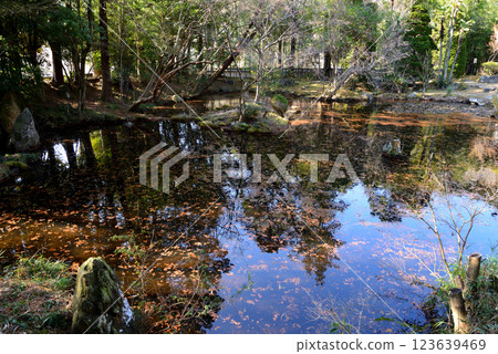 Itajikiyama Daikakuji Temple #30 Itajikiyama Daikakuji Temple #30 123639469